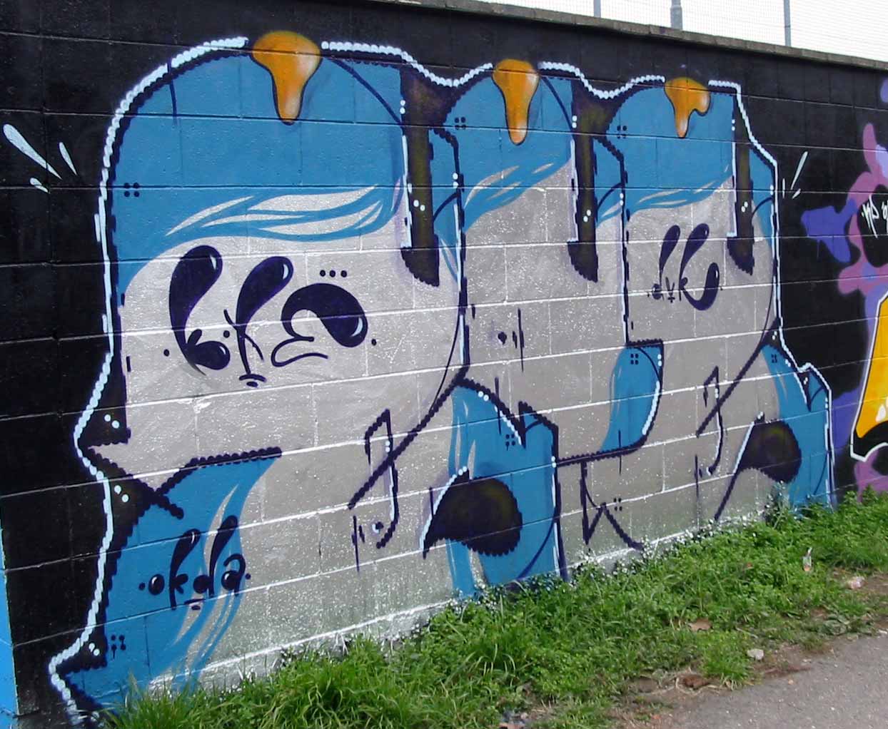 BOXE: SILVACOLOR